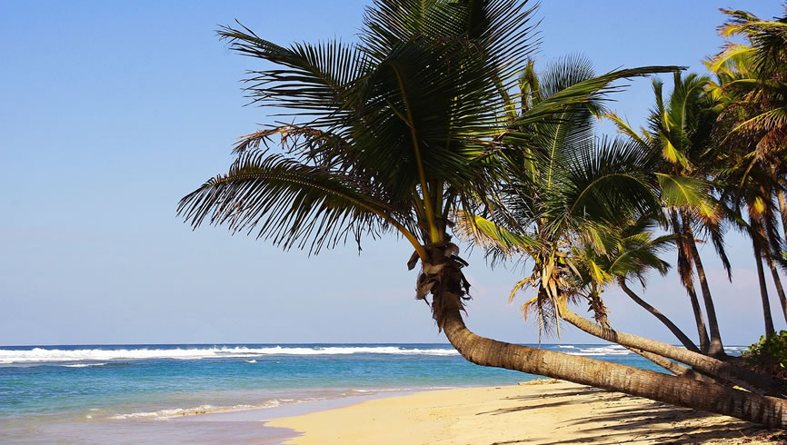 PUNTA CANA