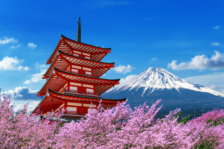 Tour a Japon desde Colombia